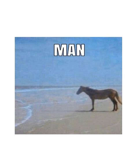 man meme with horse